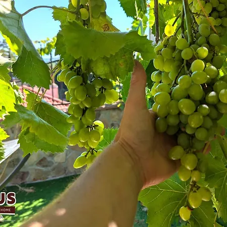 빌라 Arode Ovidius