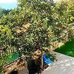 Arode Ovidius Villa Balchik