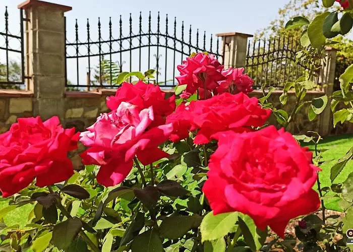 Villa Arode Ovidius Balchik